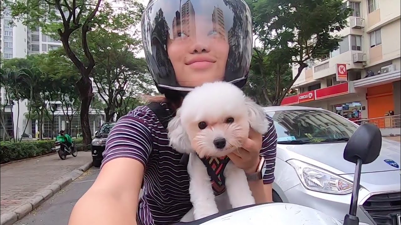 ĐI DẠO với TÉP • Magda Nguyen