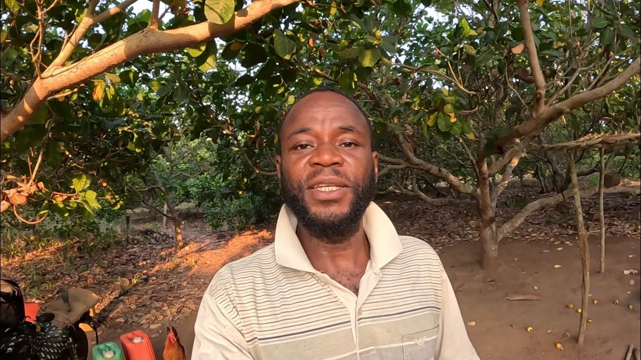 Les voleurs de poulet ont visité mon champ.