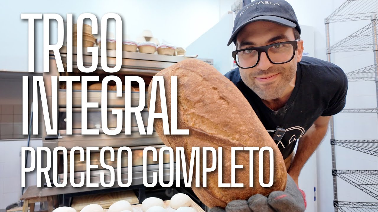 Proceso completo del trigo integral. Clase gratuita de panadería