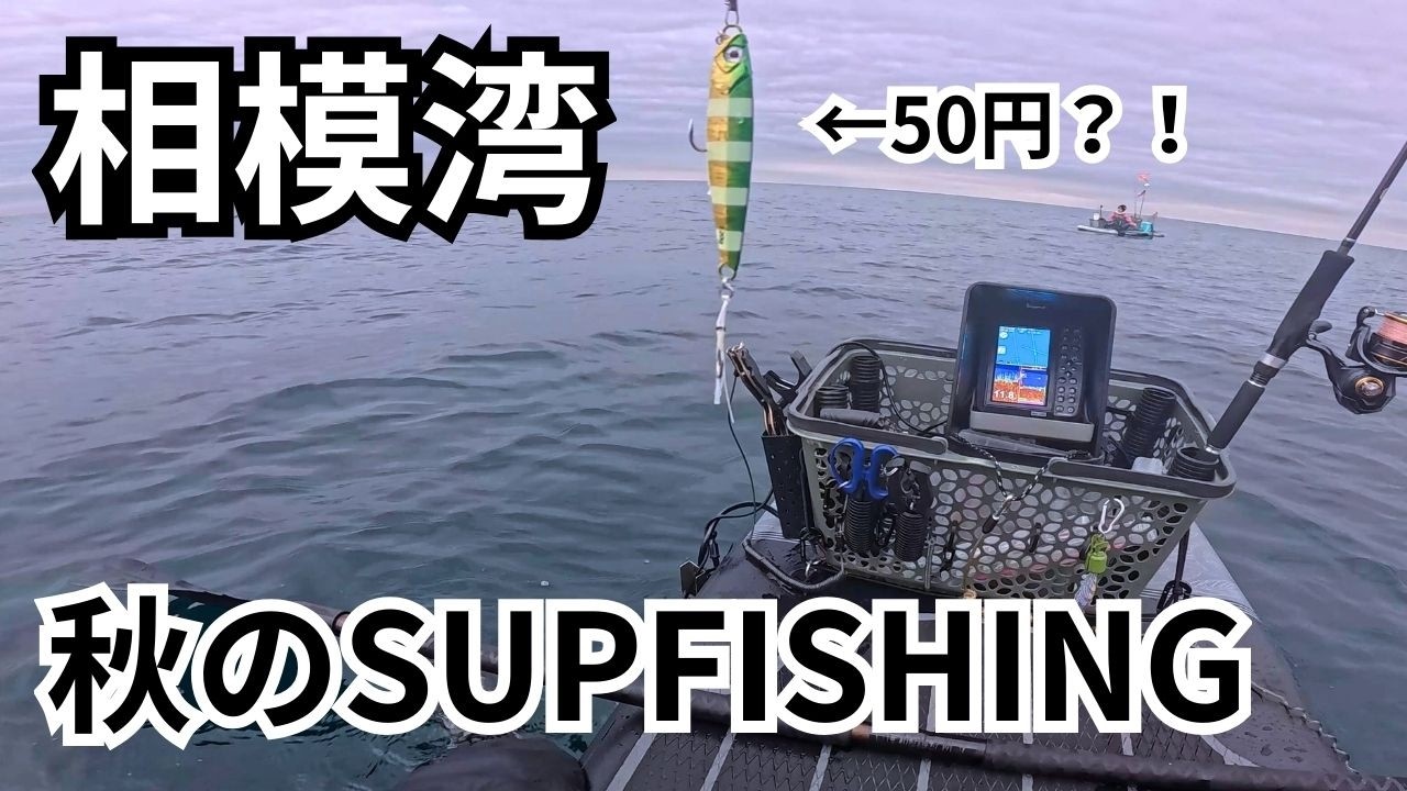コスパ最強￥50ジグと大型青物と闘えるベイトタックル【サップフィッシング】