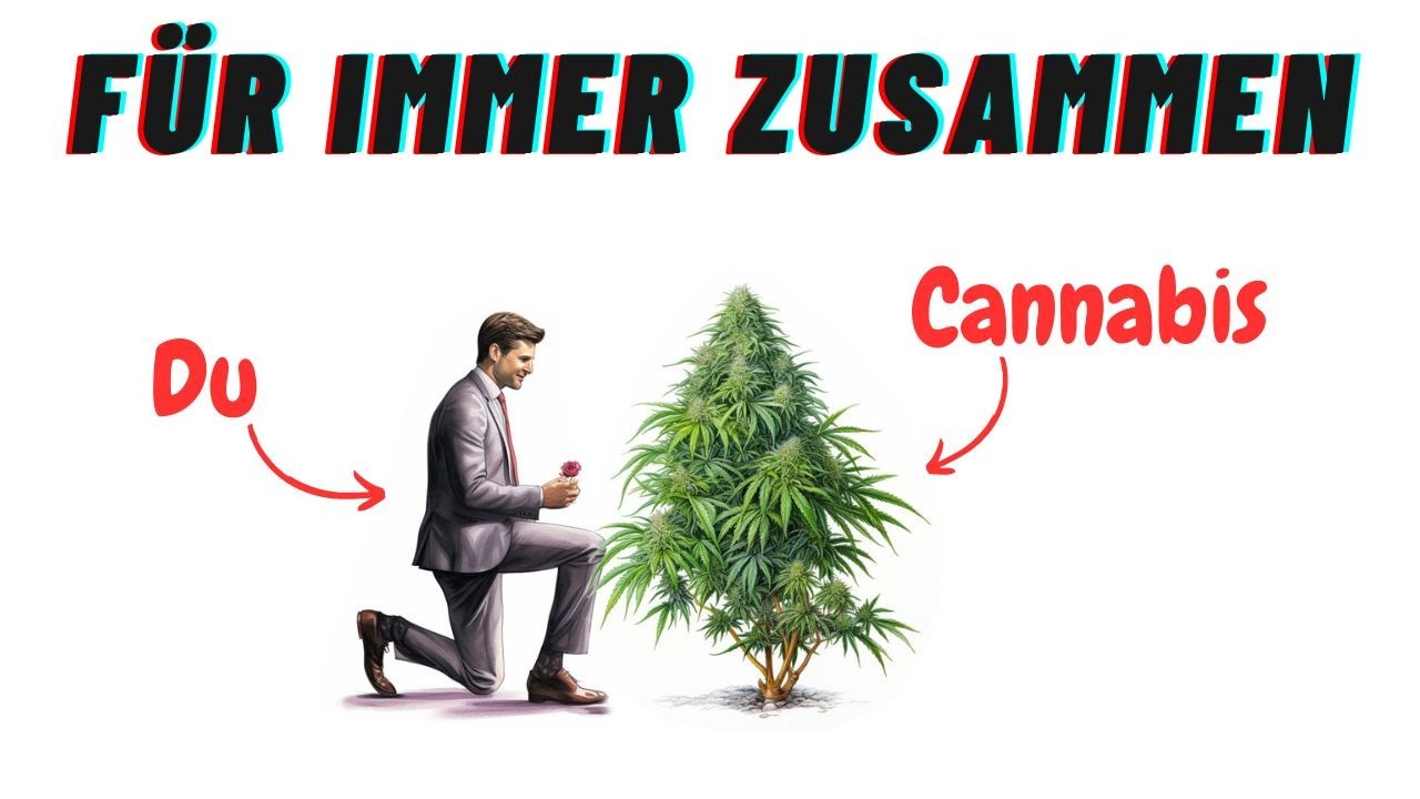 Mutterpflanzen, ReVeggen und Stecklinge - Wie erhalte ich meine Lieblingspflanze f&uuml;r immer? *