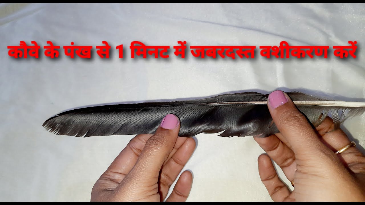 कौवे के पंख से 1 मिनट में जबरदस्त वशीकरण करें