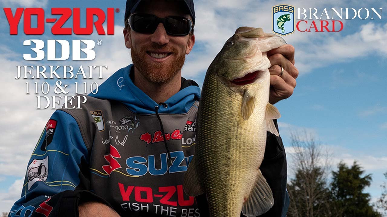 Jerkbait Fishing with Bassmaster Elite Series Pro, Brandon Card : Yo-Zuri 3DB 110