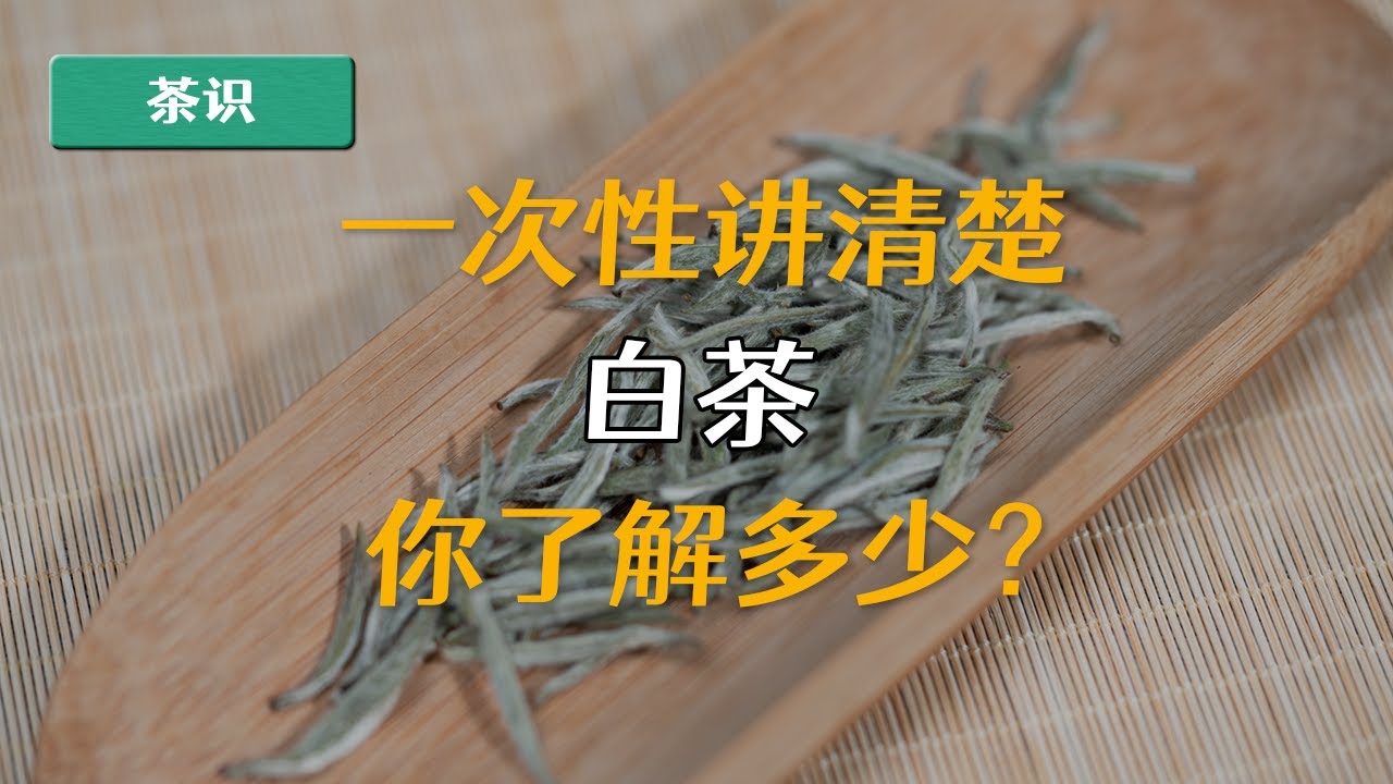 这些白茶知识都不知道，别说你了解白茶