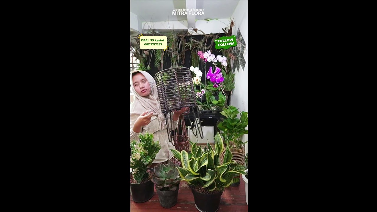 h-8 Menjelang  Lebaran,Yippie 🥰