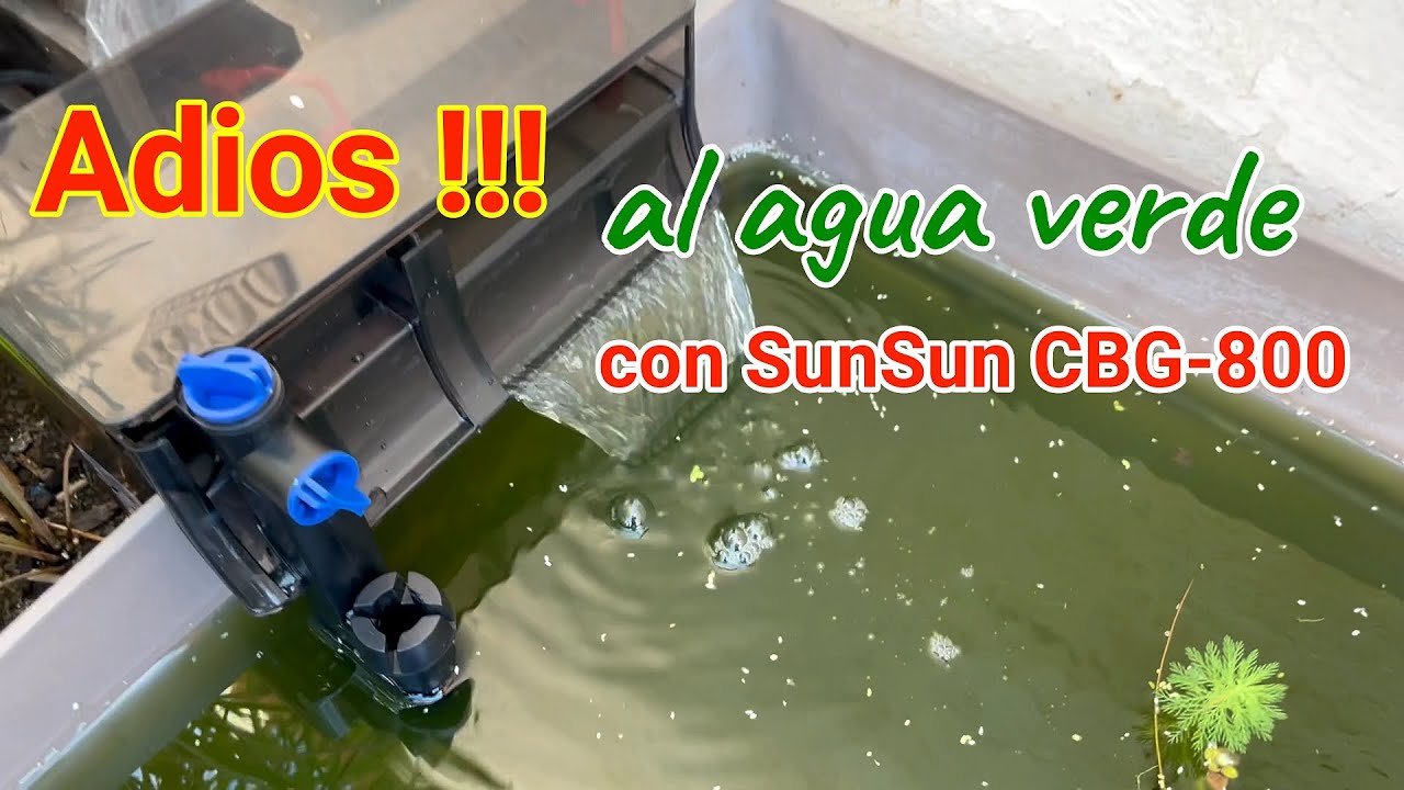 ADIOS AL AGUA VERDE con el filtro cascada con UV SUNSUN 800L/H