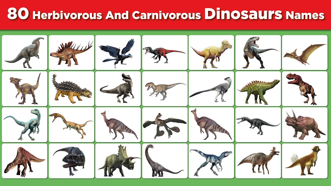Herbivores And Carnivores Dinosaurs Name II Learn 80 Dinosaur Names II Dinosaurs Vocabulary
