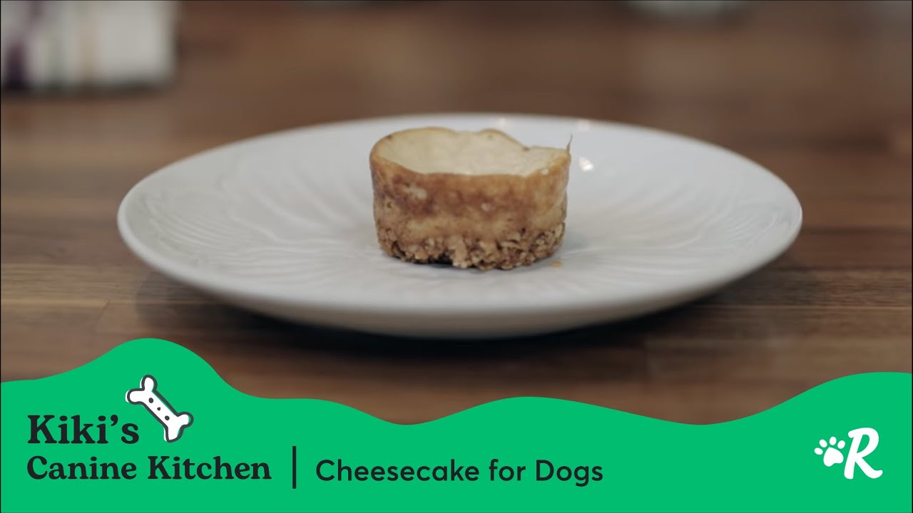 Easy Dog-Safe Cheesecake Recipe | Rover Homemade Dog Treats