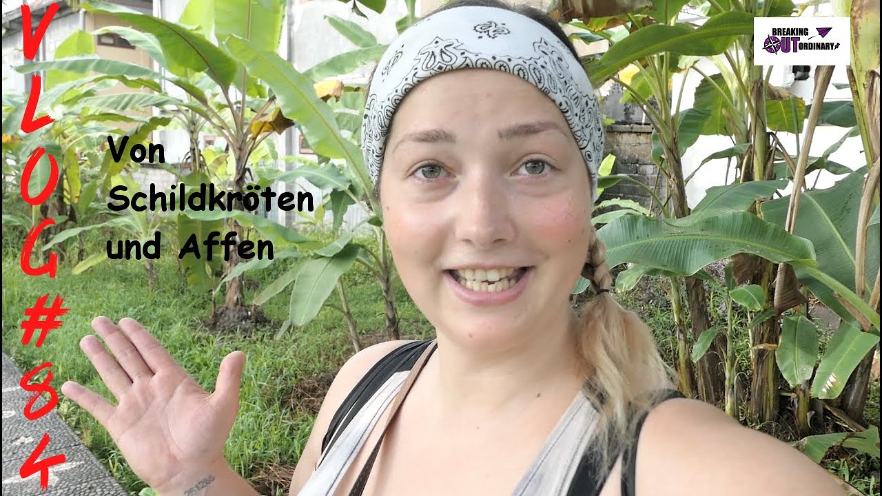 Vlog #84 ⎮Von Schildkröten und Affen