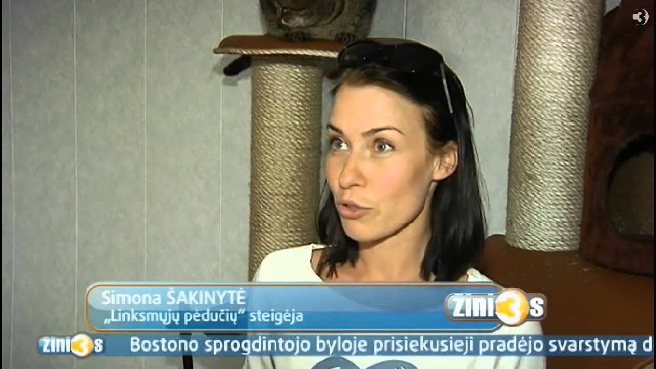 Stebuklas gyvūnų prieglaudoje
