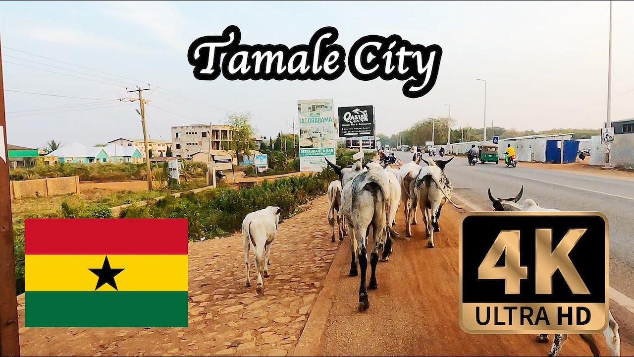 【4K Walk in Ghana】Evening Walk  in dry season Tamale ガーナ北部のタマレ市を散策
