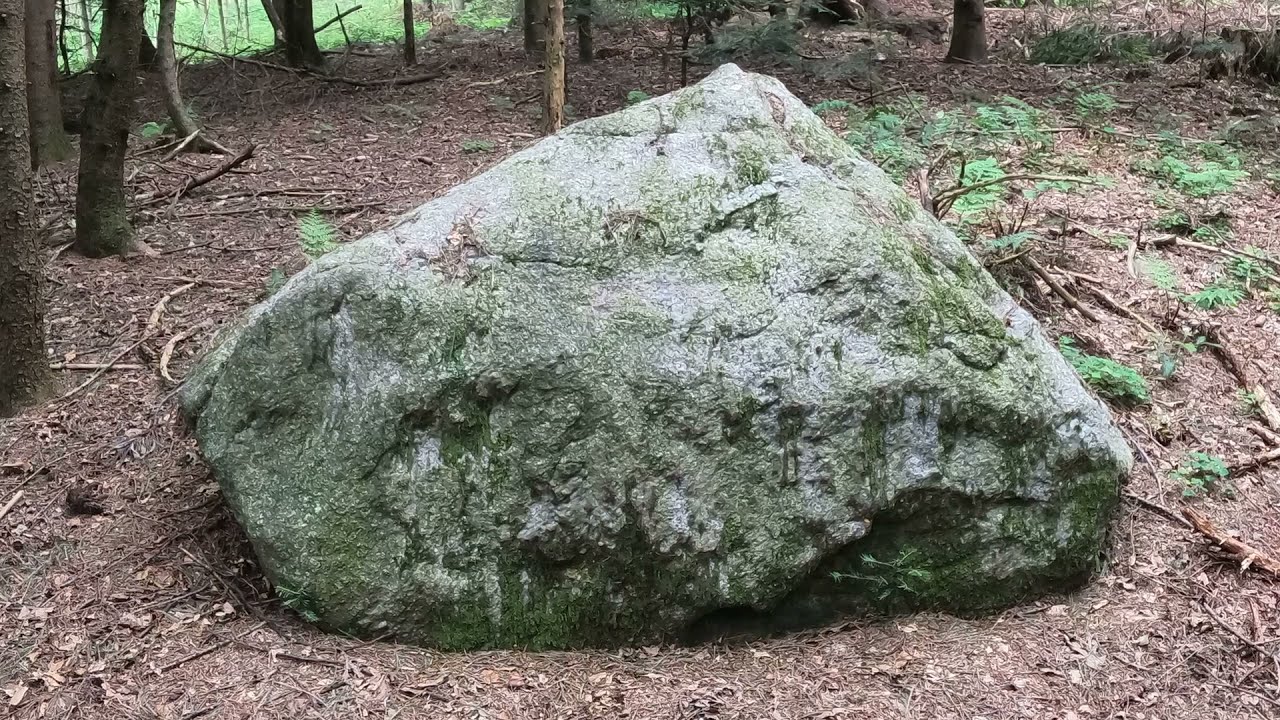 1000 Steine im Wald, Mysteri&ouml;se 260m mal 70m lange Steinreihen, Keltisch oder woher kommen sie ?