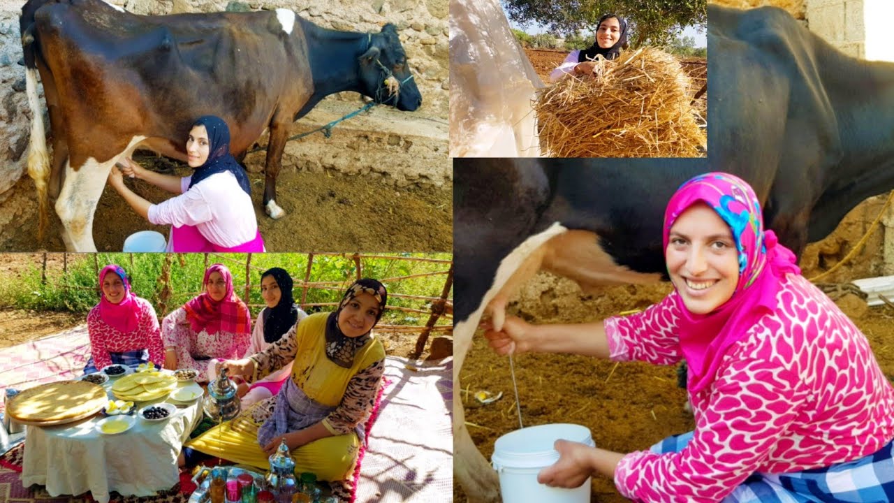 الروتين في البادية مع المرأة البدوية💪🤗