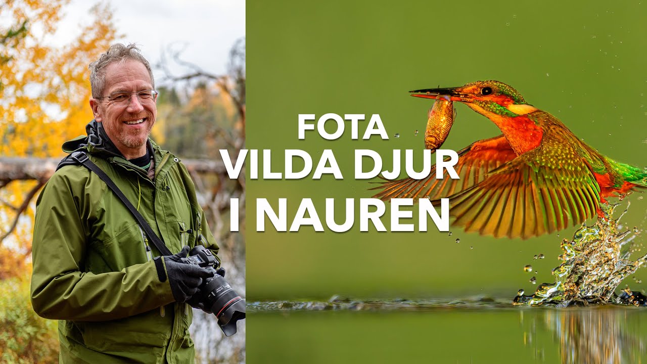 Fågelfotografering & snabba slutartider i naturen - Arne Bivrin | Avsnitt 120 av Fotopodden