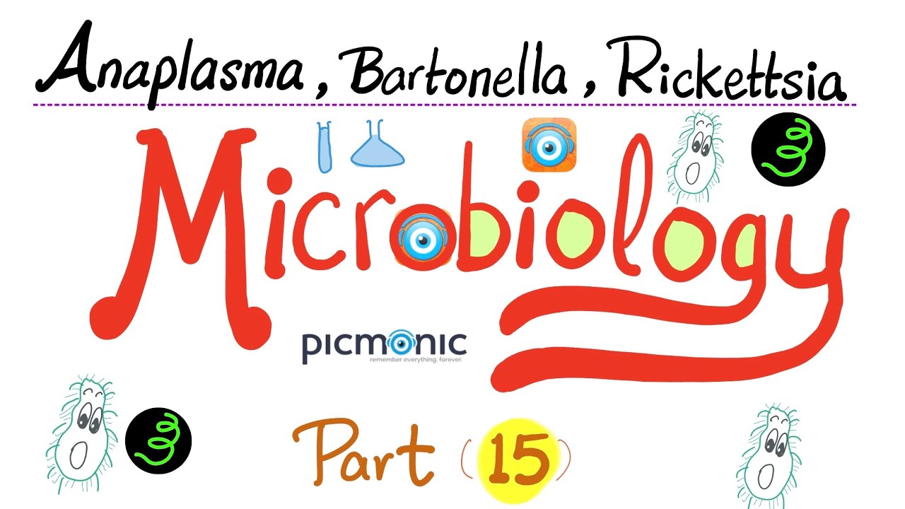 Picmonic Microbiology - Anaplasma, Bartonella, Coxiella, Ehrlichia, Rickettsia - Part 15