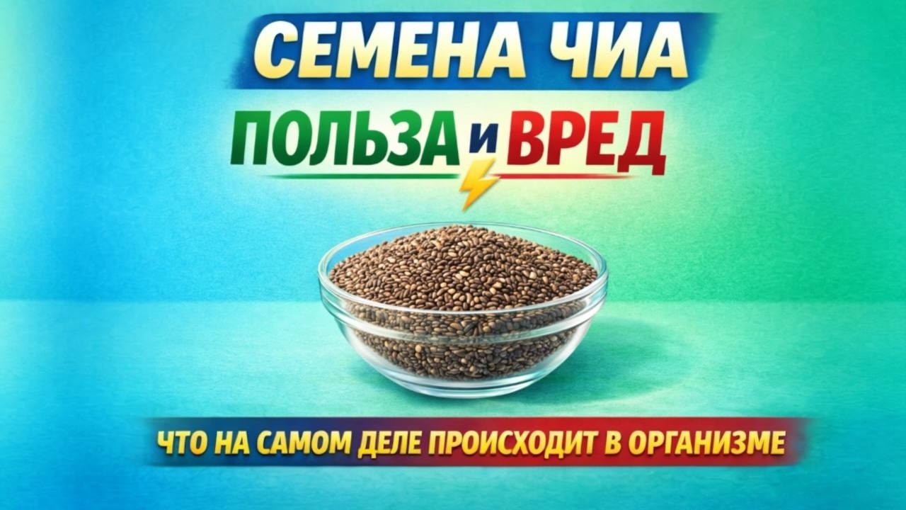 Семена чиа: польза и вред | Всё, что нужно знать перед употреблением