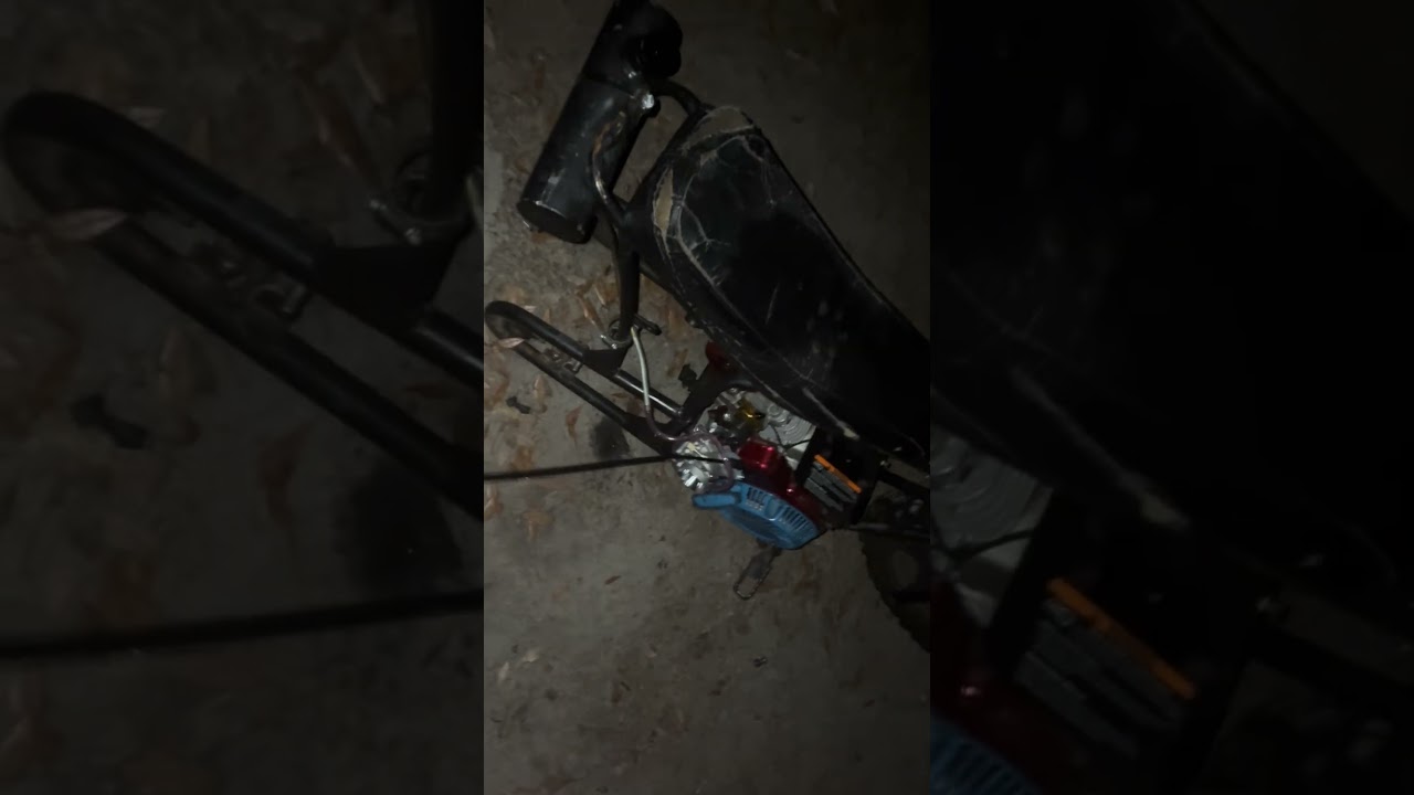 Mega moto 80 Briggs animal build