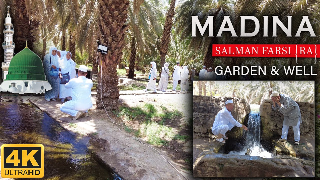 Madina Salman Farsi(RA) Garden  Prophet Muhammad PBUH Planted 300 Trees In This Garden @tariq masood