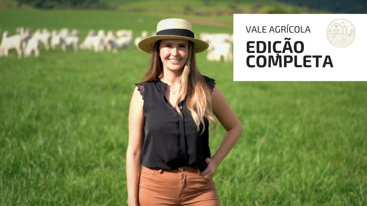 VALE AGRICOLA 308 (16/03/2024)