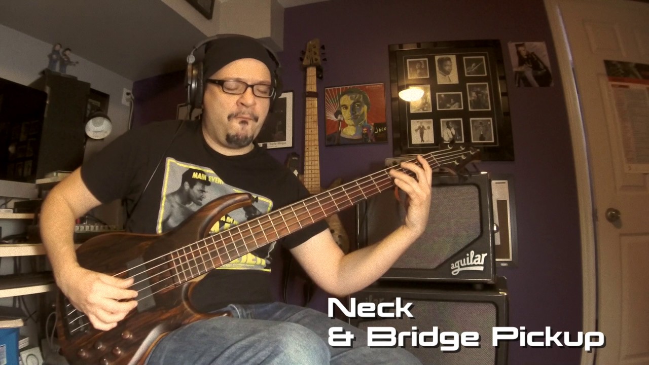 Ultimate Basses: MTD 535-24 Cocobolo