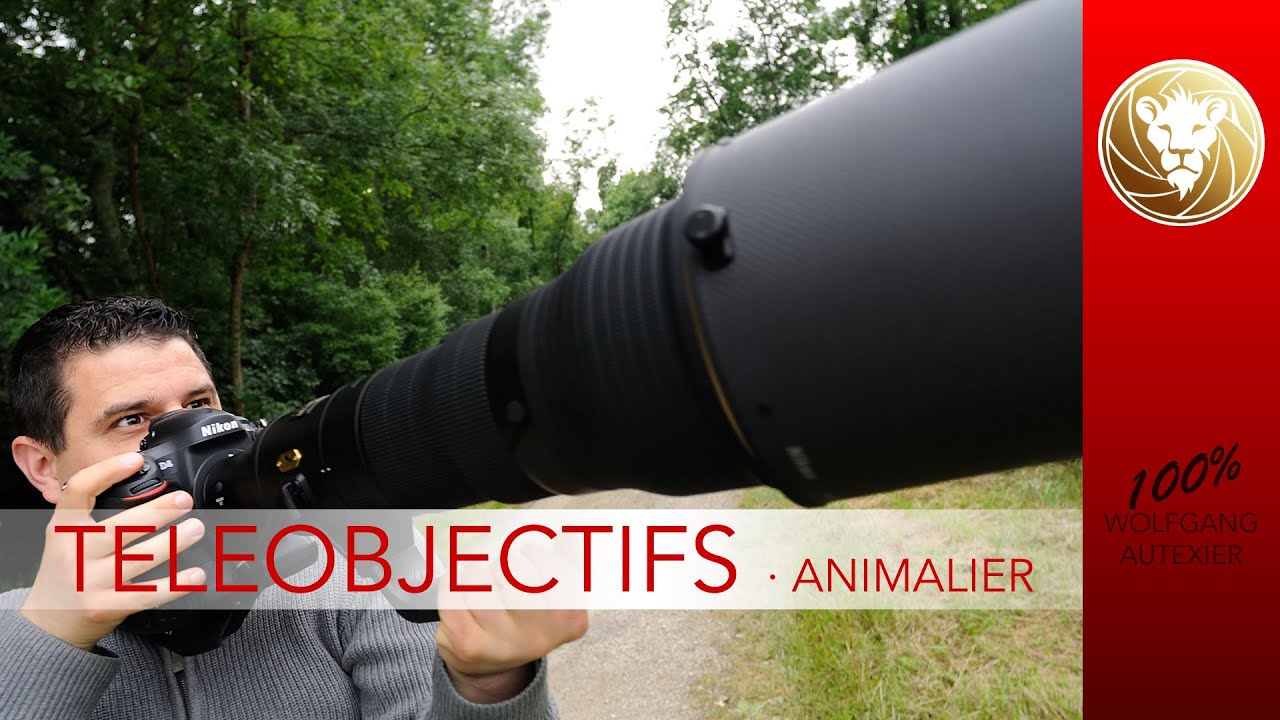Quels téléobjectifs pour la photo animalières ?