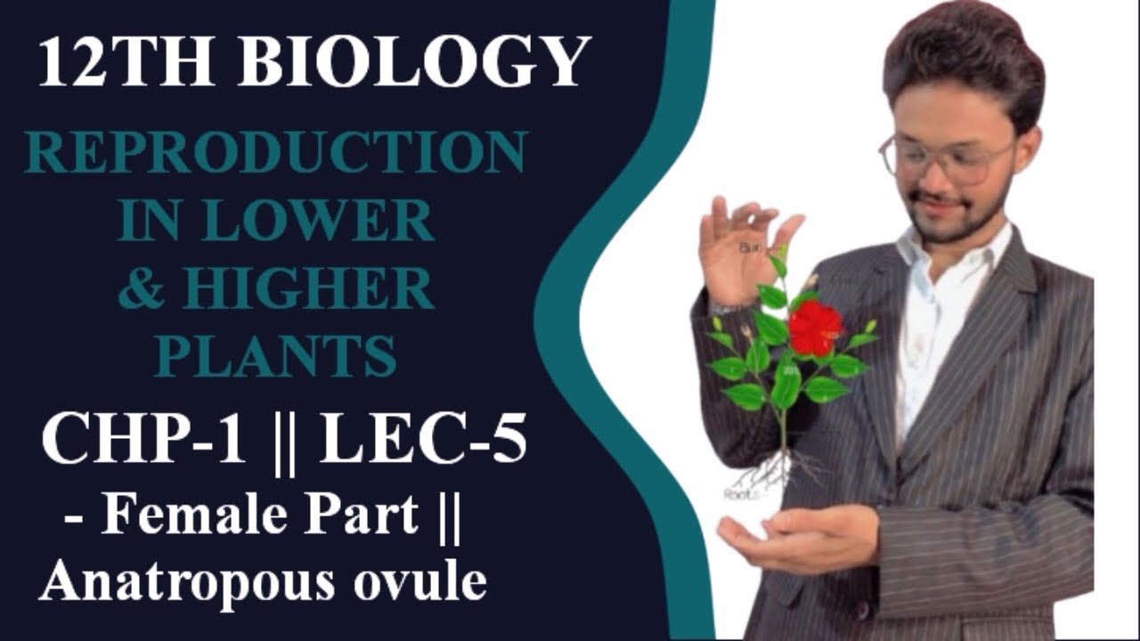 12TH BIOLOGY || REPRODUCTION IN LOWER AND HIGHER PLANTS || CHP-1 || LEC-5 || MAHARASHTRA BOARD 