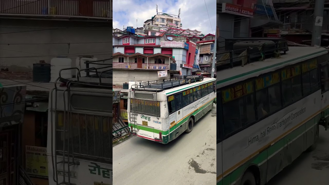 Rohru 💖 #trendingshorts #hrtc #himachali #trendingvideo #travel #rohru #shimla