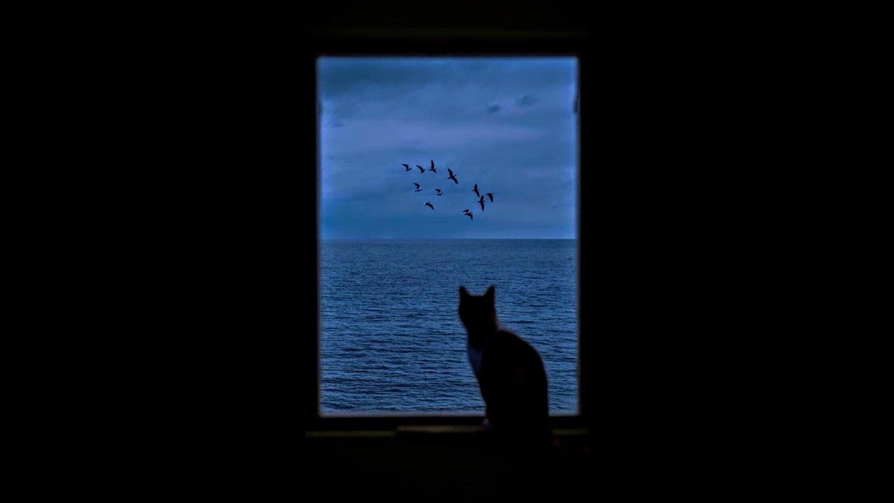 [FREE] Pluggnb Type Beat - ''Meow'''