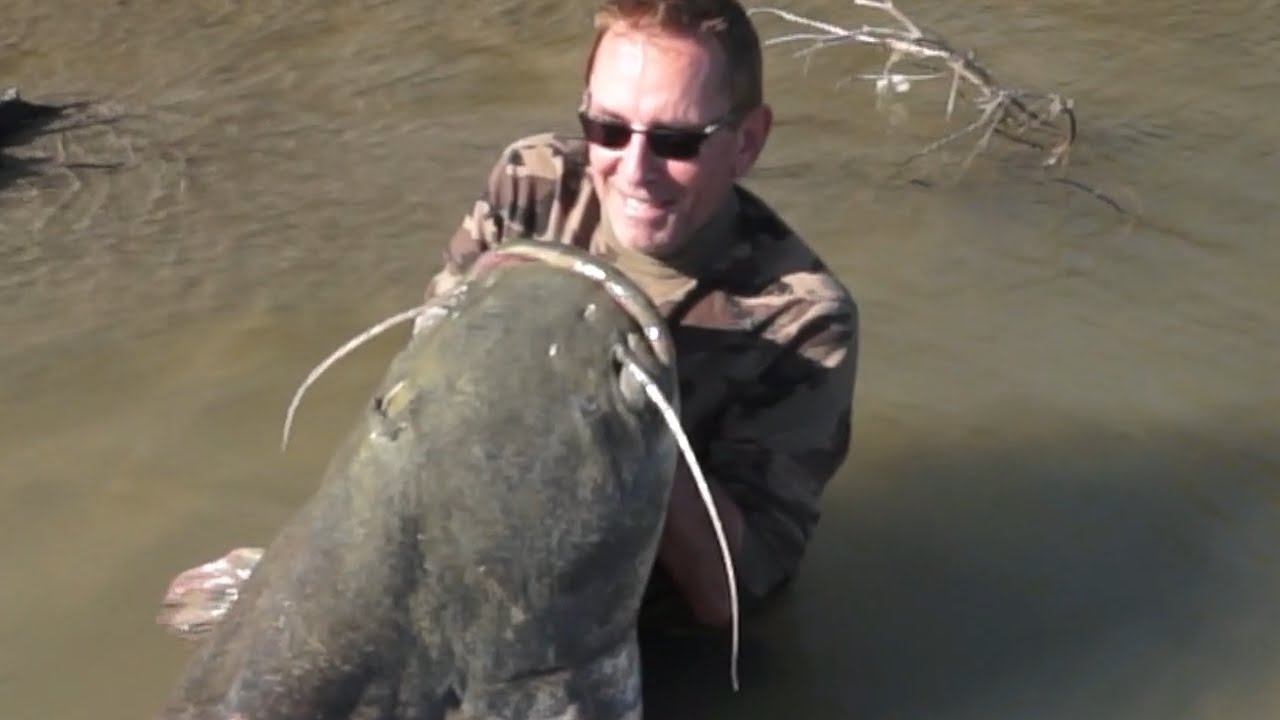 Wels Catfish Italy