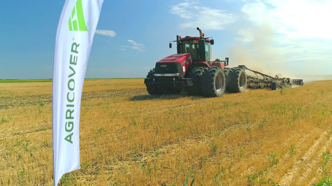 Schema de fertilizare recomandată de Agricover pentru profit la rapiță și grâu