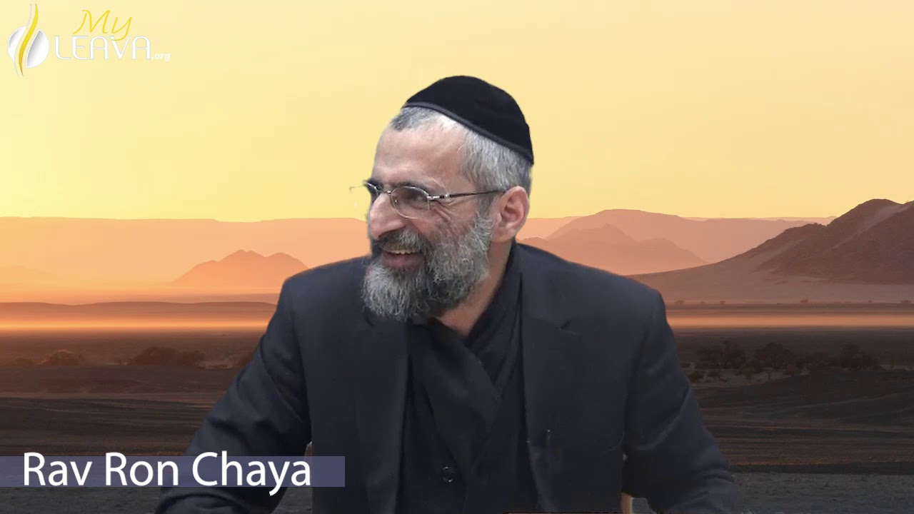 LE SENS PROFOND DES DIX PLAIES D'EGYPTE - RAV RON CHAYA