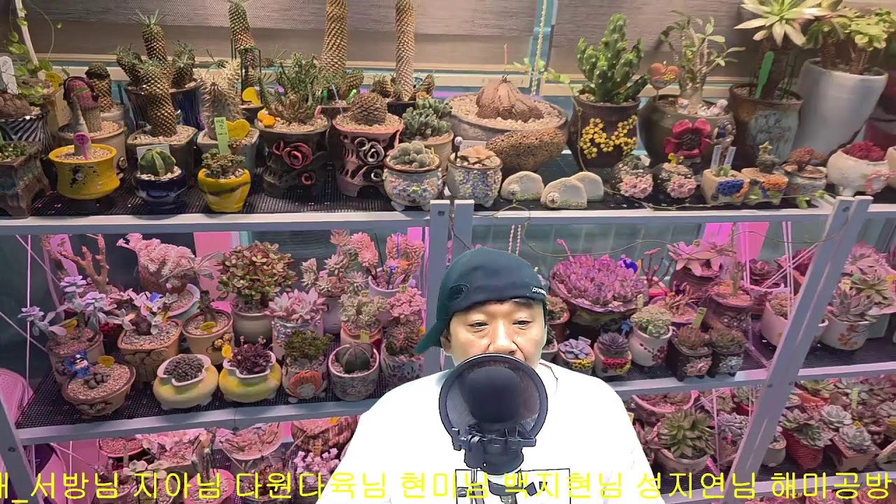 #포천광재를_지켜주세요_2026년_3월_2일_월#겨울에듣기좋은음악#7080 ^^