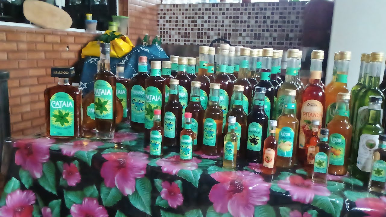 RECANTO MAGINI - FRUTAS NATIVAS DA MATA ATLÂNTICA EM PARELHEIROS - SP