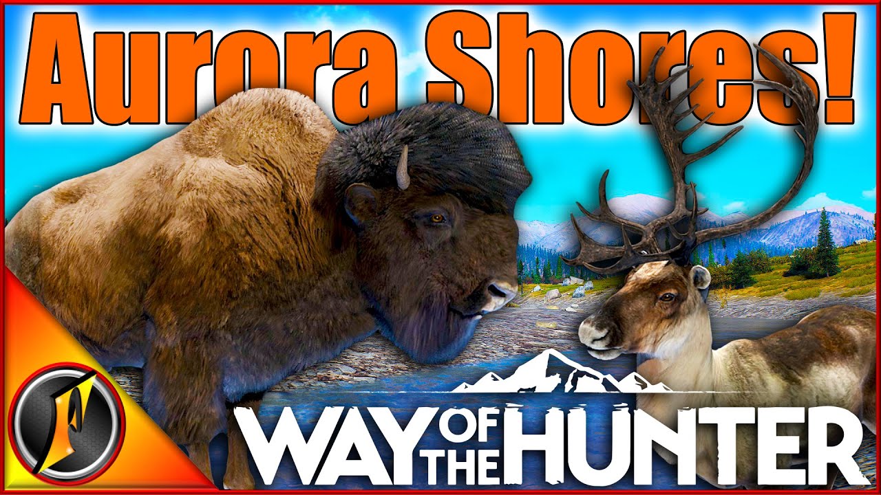 Aurora Shores Release Day Hunt! | Bison, Caribou, Moose & More on Alaska!