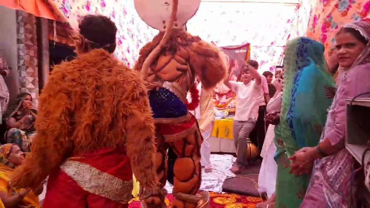 Saba mani ko laddu chat karigo