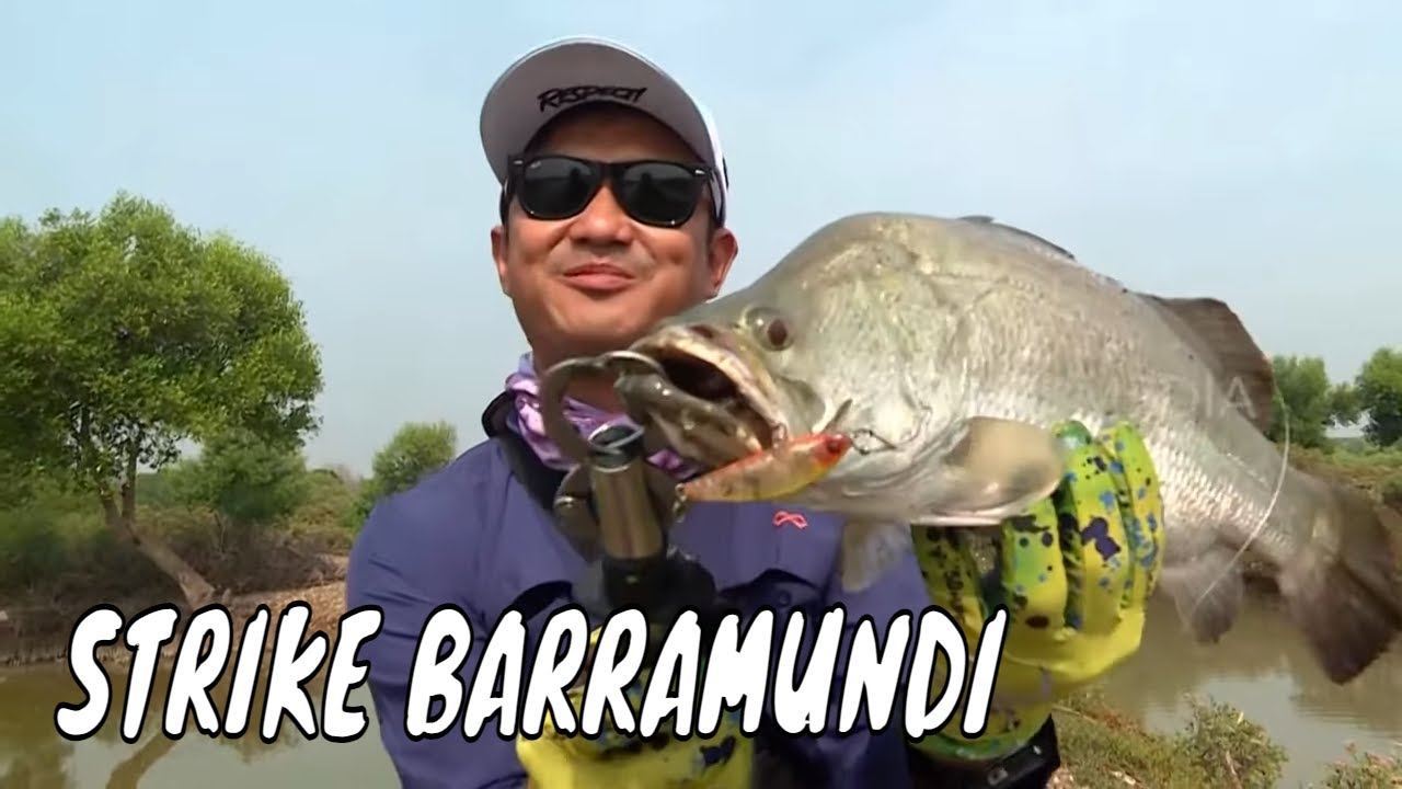 Sambaran Barramundi & Kerapu Cantang di Tambak Muara Asem | MANCING MANIA STRIKE BACK (07/09/24) P1