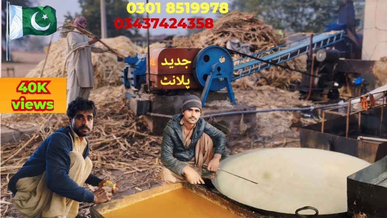 Gur Ka Plant || Khareed Se Ly K Sale Tk Mukamal Tafseel || پاکستان کا نمبر ون پلانٹ