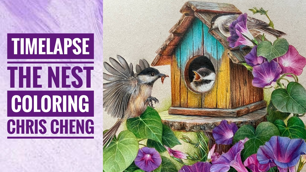 Timelapse Coloring - THE NEST OF MORNING LIGHT | Chris Cheng