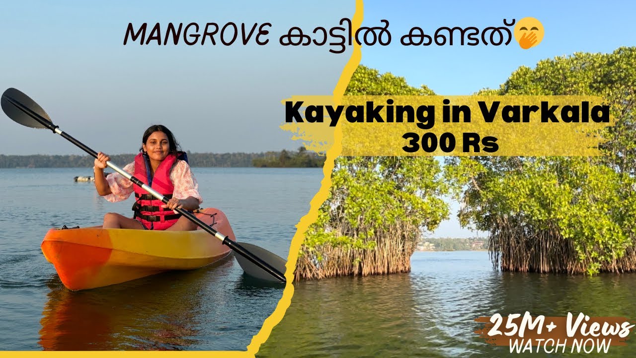 Biggest & Best Mangrove forest kayaking | Adventures-Varkala | Mangrove Island Kerala | Budget trip
