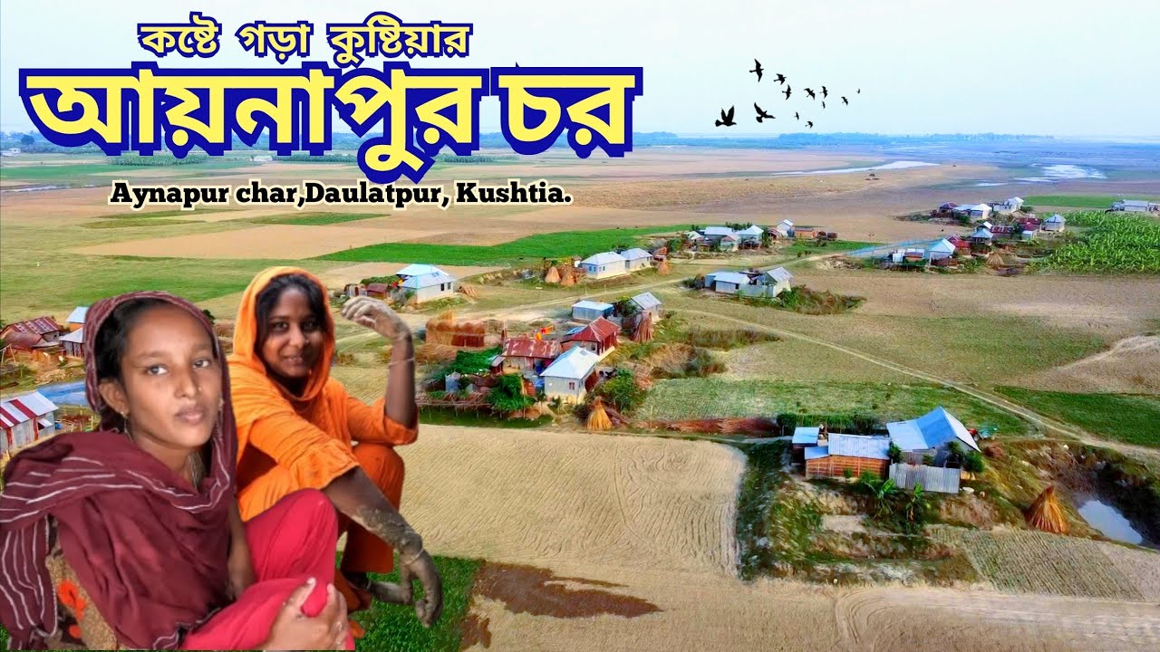 কুষ্টিয়া আয়নাপুর চর মানুষের সংগ্রামী জীবন যুদ্ধ || Aynapur char || চিলমারী || দৌলতপুর || Kushtia.