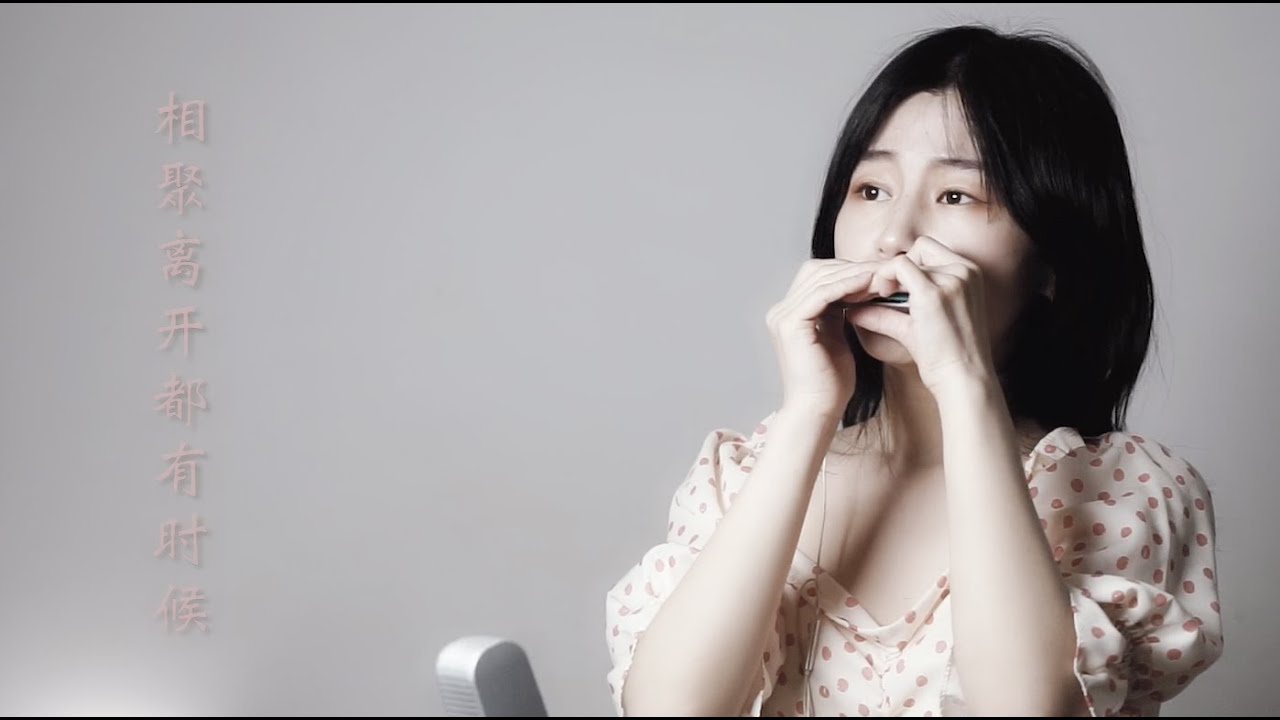 【Harmonica】口琴演奏王菲经典《红豆 a love pea》（paddy blues harp）（园园sonoko）