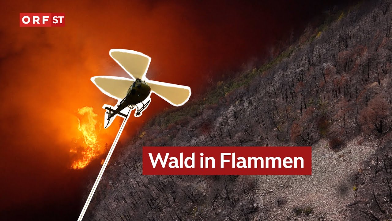 Nach den Waldbr&auml;nden im Vinschgau I S&uuml;dtirol heute vom 30.10.2025
