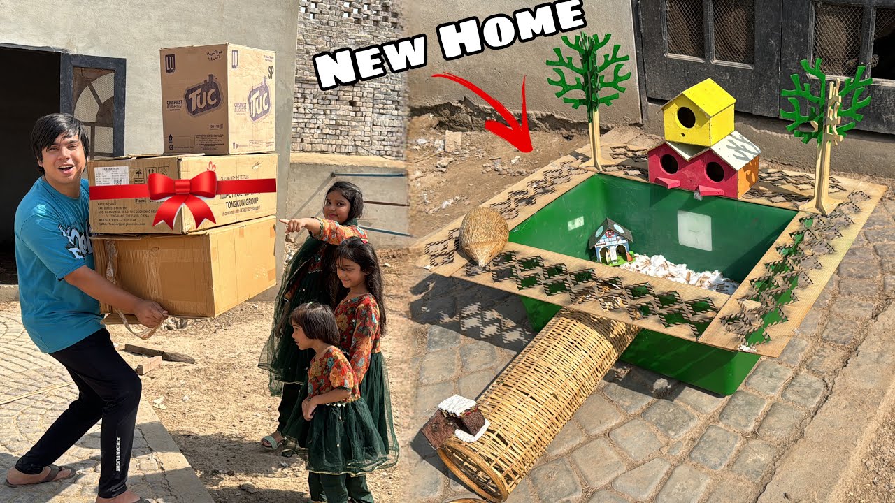 Subhan Ny Surprise Gift Da Dea 🎁 New Home