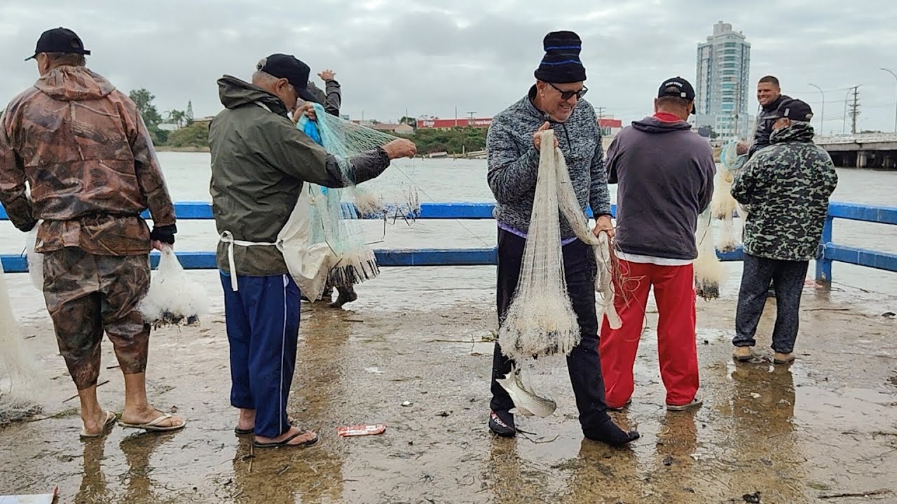 Pesca de tarrafas, Trapiche, Tramandaí, RS. Saíram tainhas #pescadetarrafa #pescadetainhas