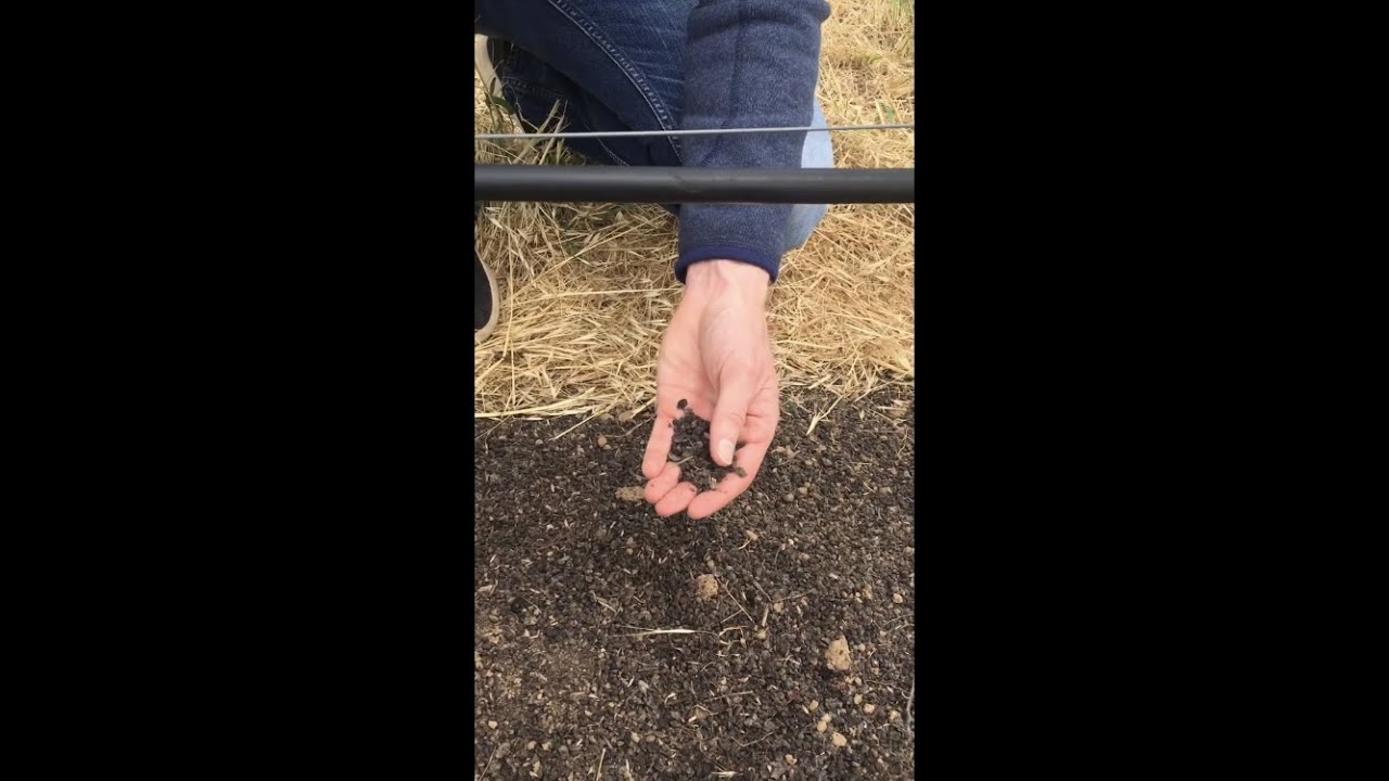 Composting in an Organic Vineyard