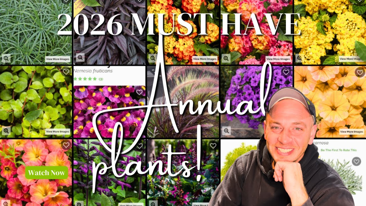 MUST HAVE 2026 ANNUALS FOR THE GARDEN