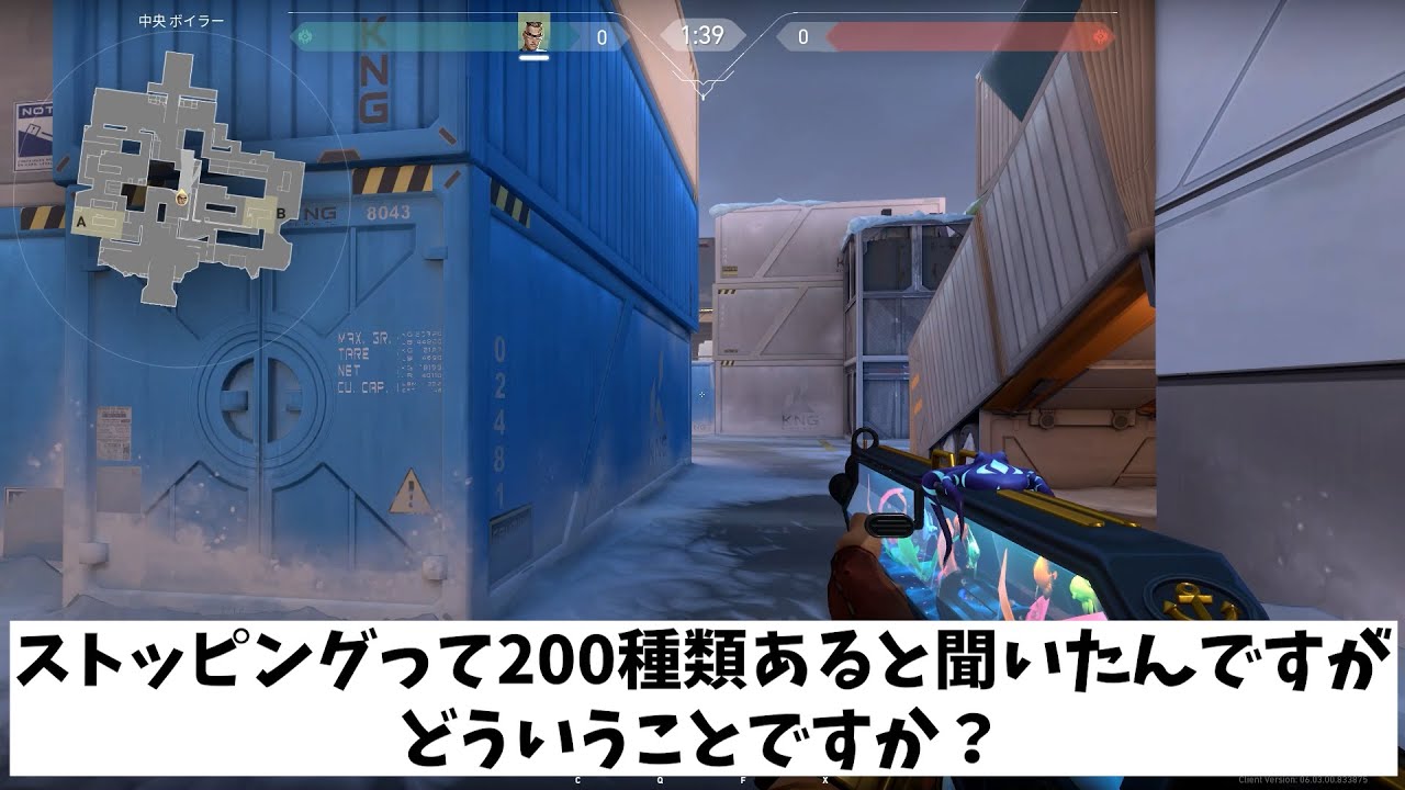 VALORANT法律部門　ストッピング