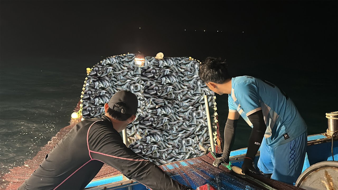 Nghề Đèn Nhân Trạch Thăm Dò Cá Đầu Mùa Ở Tre Chà - Dân Biển
