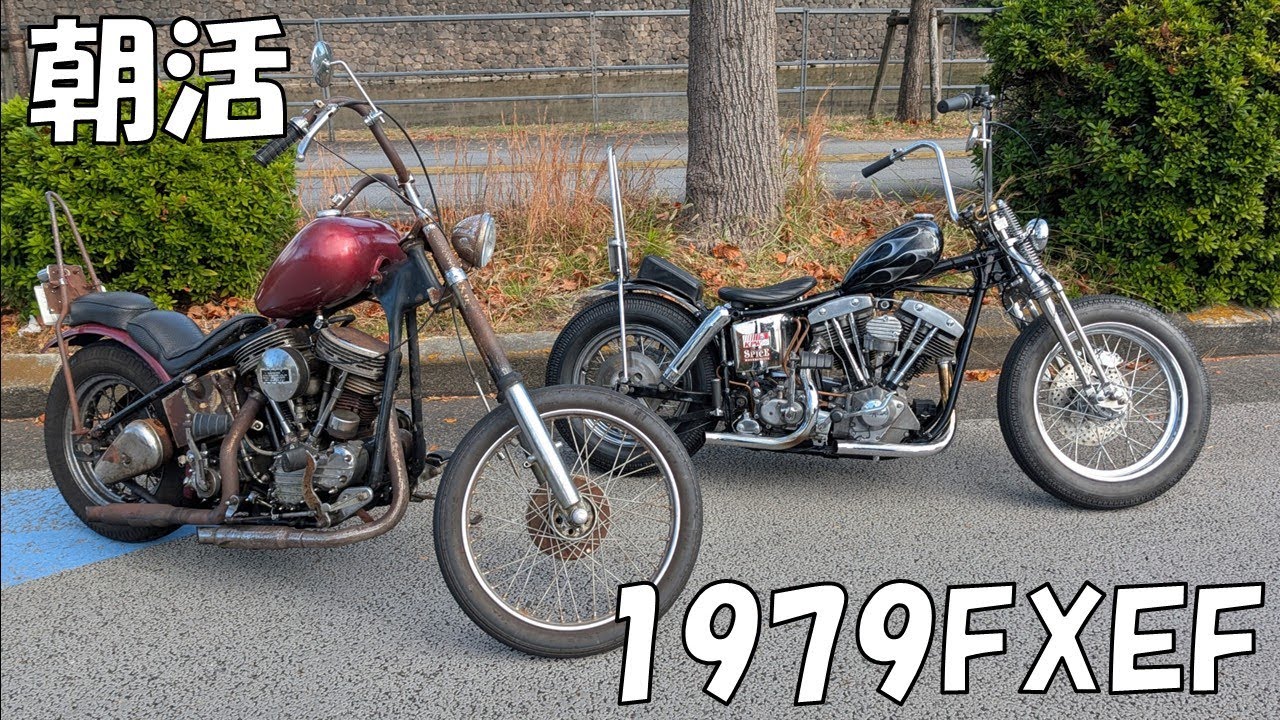 1979FXEF#harleydavidson #chopper #motorcycle