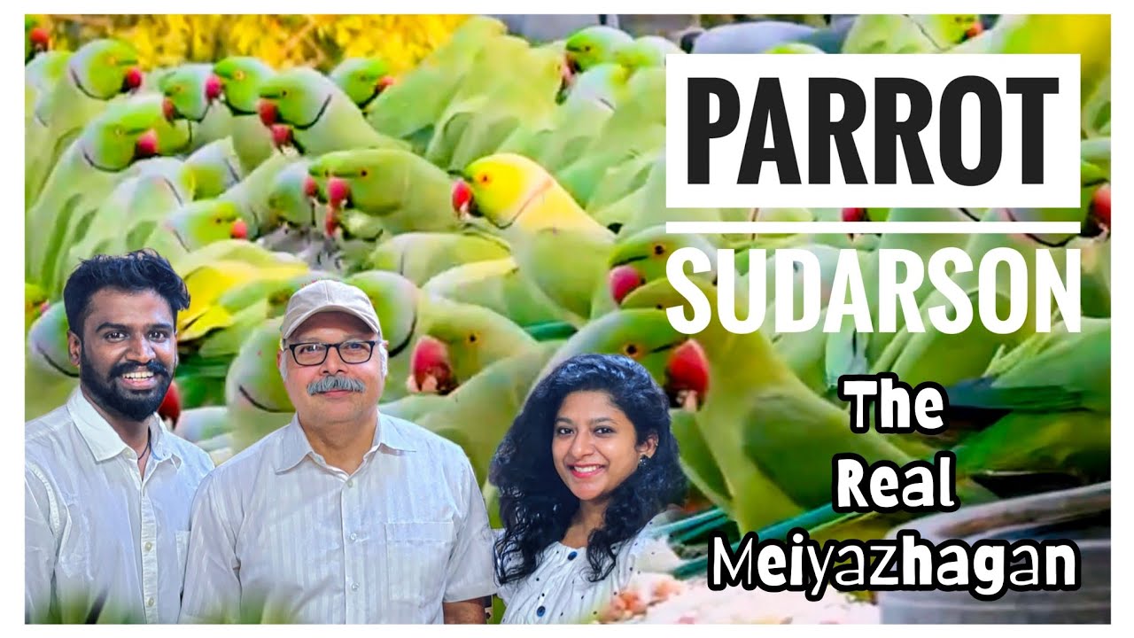 The Real Meiyazhagan Parrot Sudarson | Birdman of Chennai | Explore Chennai 